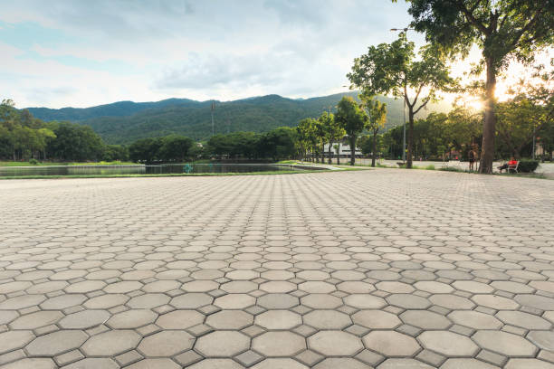 Best Interlocking Driveway Pavers  in South Apopka, FL