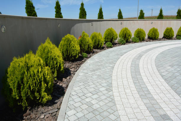 Best Driveway Repair Near Me  in South Apopka, FL