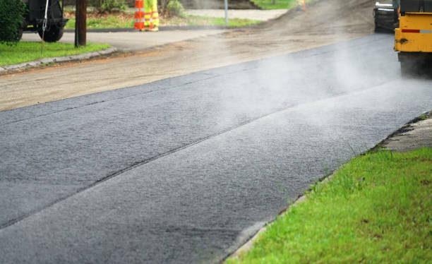 Best Local Driveway Pavers  in South Apopka, FL
